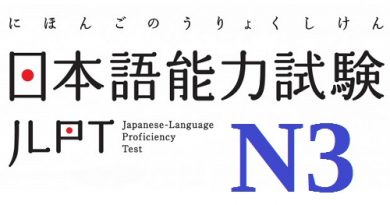 The N3 JLPT structure and goal of each section