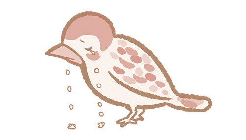Sparrow tears The 50 most common Japanese idioms