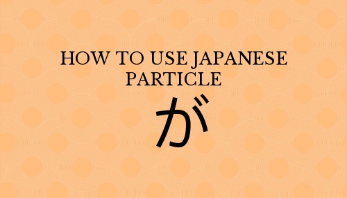 How to use Japanese particle が