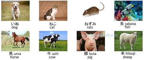 Japanese vocabulary on animals - Japanese words by theme