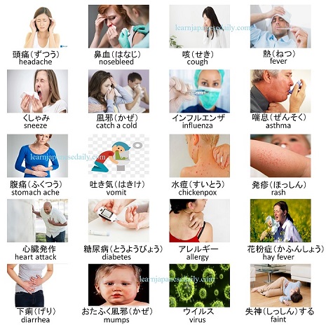 Japanese vocabulary on sickness - Japanese words by theme